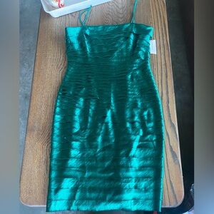 NEW Dressbarn Shimmering Green Pencil dress